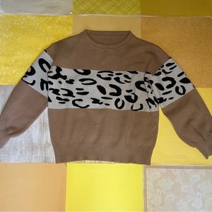 Cheetah Print Sweater